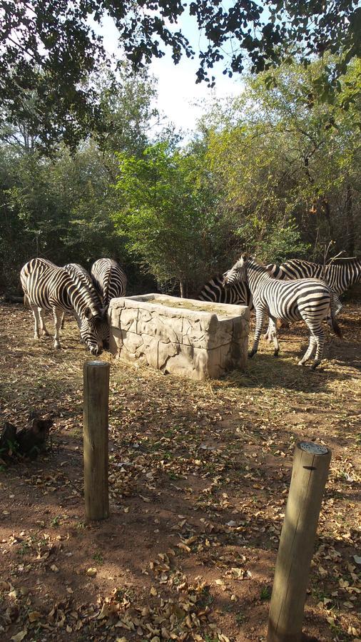 Beyond The Boma Boutique Guesthouse Marloth Park Exterior foto
