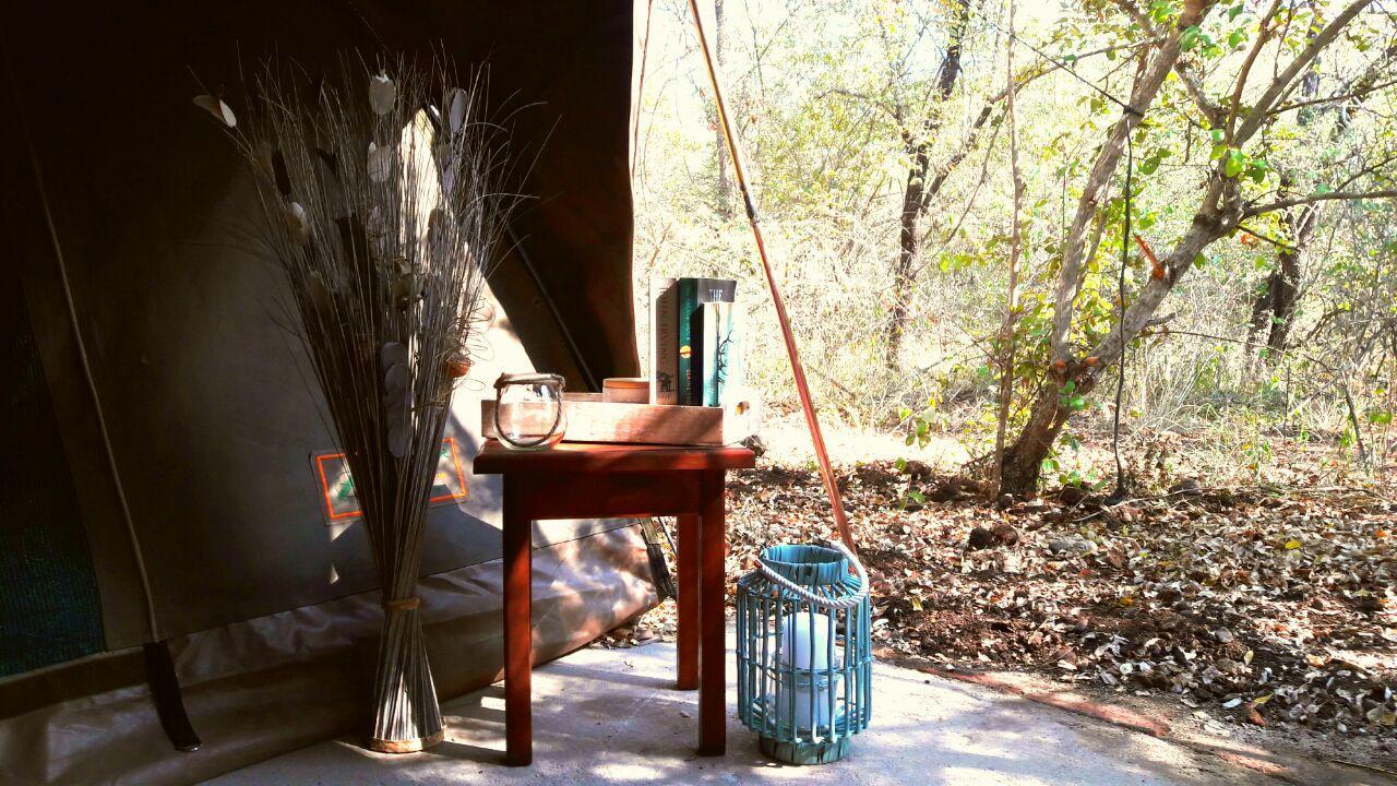 Beyond The Boma Boutique Guesthouse Marloth Park Exterior foto